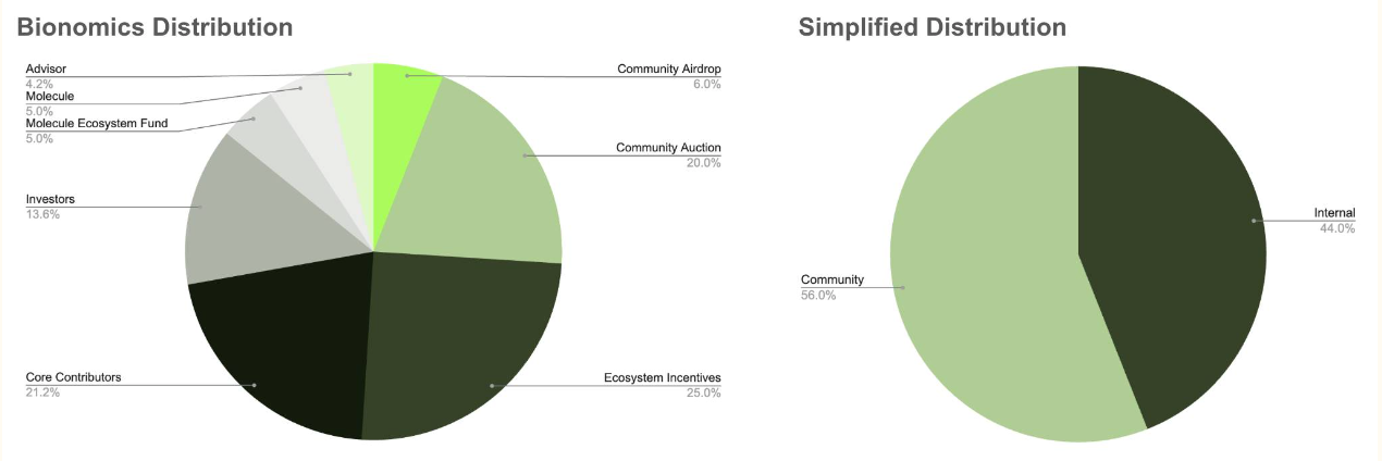 Token Allocation