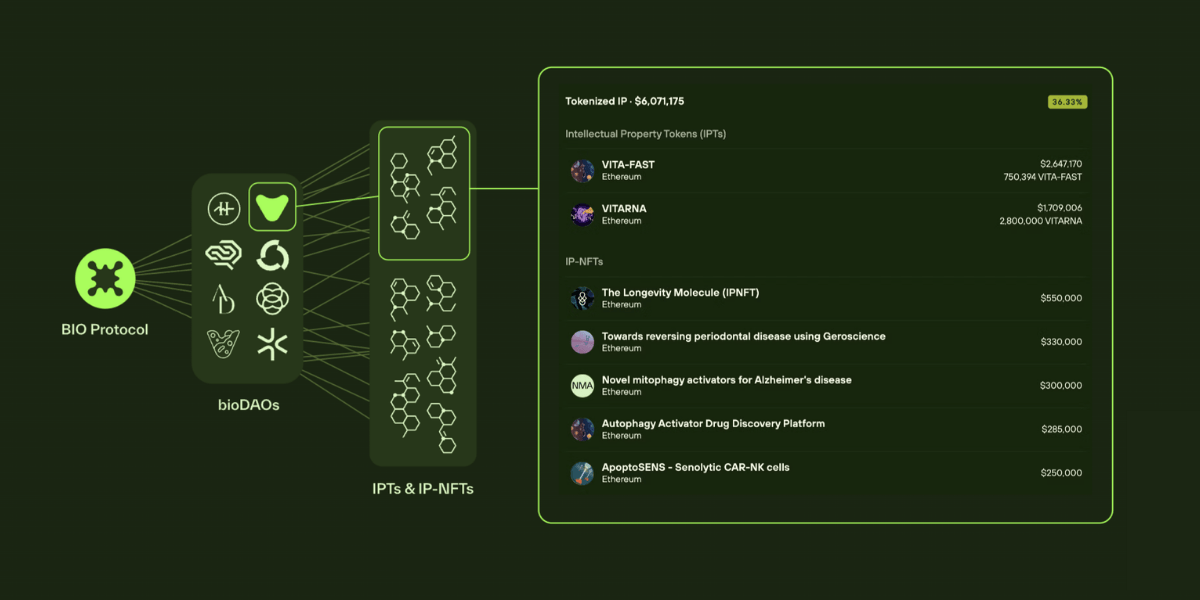 Cách thức hoạt động của BIO Protocol